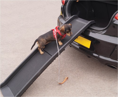 Pet dog ramp folding - pet,