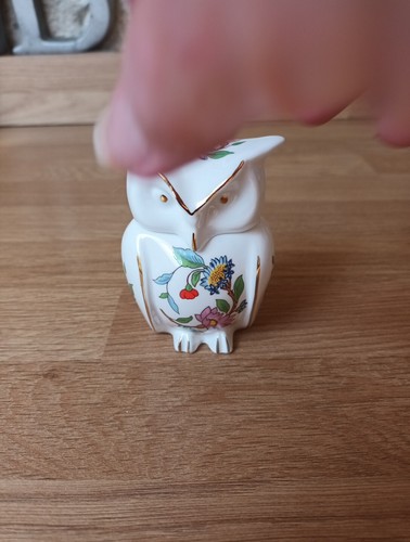 Aynsley pembroke owl - pembroke,