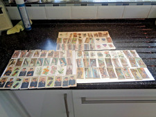 61 OGDENS CIGAREETTE CARDS