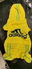 Adidog Tracksuit - Toy Poodle