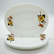 Vintage Retro JAJ Pyrex Autumn Glory Oven Glass X4 Oval Steak Plates 30 X 22.5cm