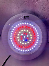 Lighthouse Hydro BlackStar