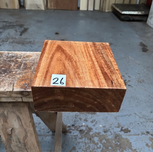 Tasmanian blackwood x 8 - x,