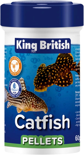 King british catfish - british,