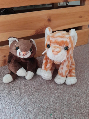 Retired beanie baby plush - ty,
