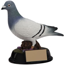 Pigeon Award Elite Racing Awards Pigeon Bird Trophy - FREE Engraving RF4157