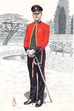 MILITARY UNIFORM POSTCARD AB19/3 FORESTERS REG 1993 CONTINENTAL SIZE UNUSED MINT