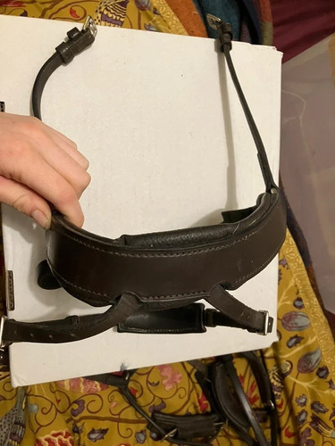 Flash noseband for - flash, fairfax