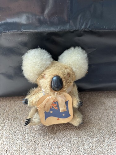 Vintage koala bear real - bear, fur