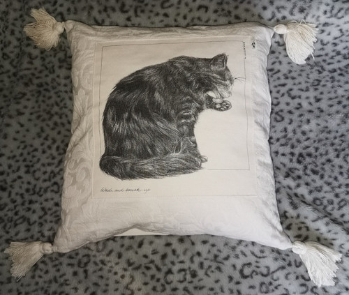 Rare bob bowdige cat cushion - rare,