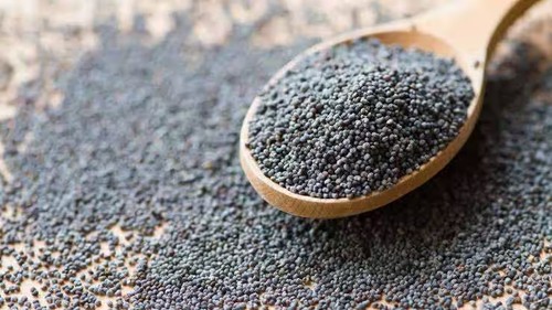 Organic black blue poppy - organic,