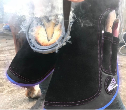 Raptor professional farrier - raptor,