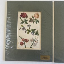 Antique Vintage Pair Of