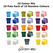 7cm Square Coloured Plastic