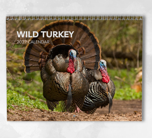 Wild turkey calendar 2027 - turkey,