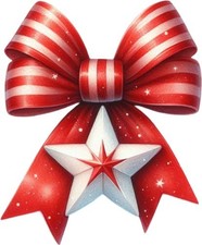 Red Christmas Coquette Bow