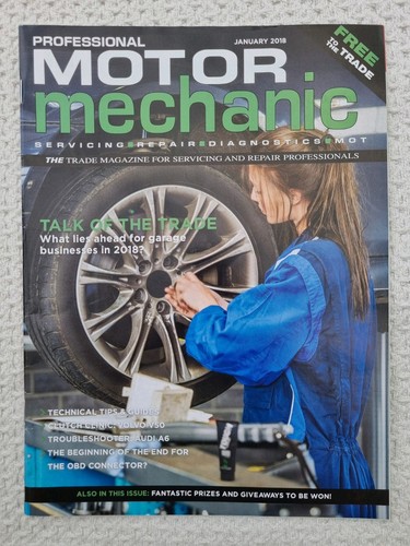 Professional motor mechanic - professional,