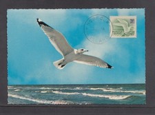 Norfolk Island - 1966 3c White