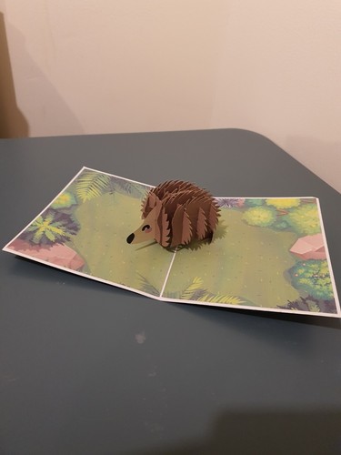 Popup hedgehog card - 3d,