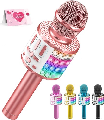 Portable karaoke microphone - karaoke,