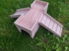 Guinea Pig Leap And Slide