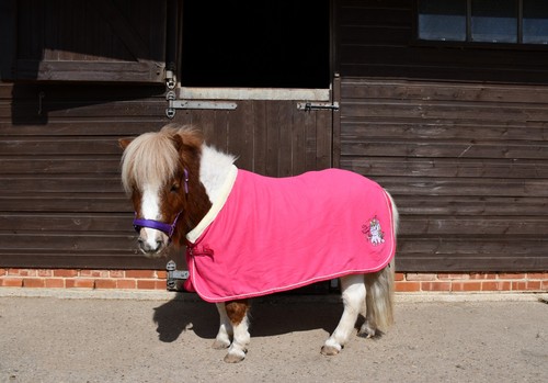 Rhinegold shetland unicorn - ✨rhinegold,