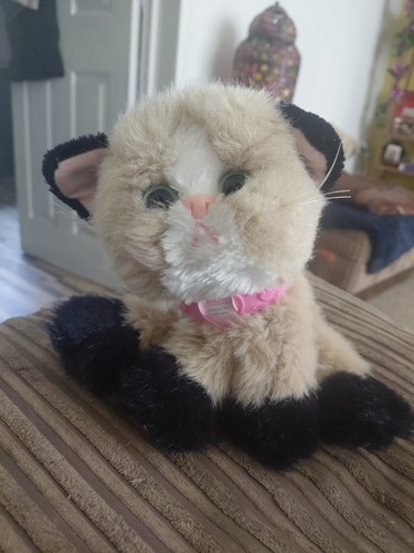 Vintage kitty - vintage,