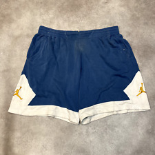 Jordan Shorts Mens 3XL Jumpman Basketball Y2K Training Bottoms, Blue