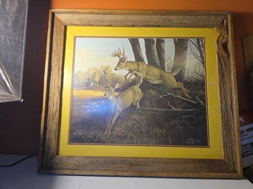 Rare deer jumping over fence - jumping,