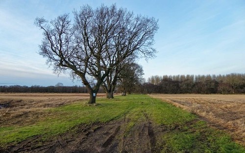 Photo 6x4 caravan club site - club,