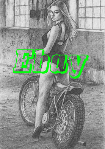 Speedway monochrome sketch - monochrome,