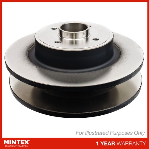 Brake discs pair solid - 2x, rear