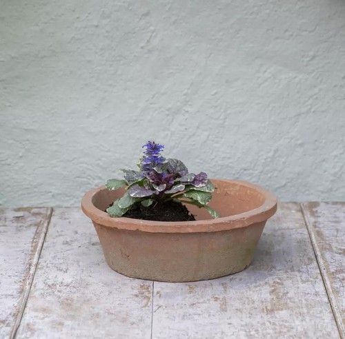 Round terracotta dish - terracotta, planter