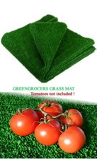 Artificial Grass Matting 6ft X