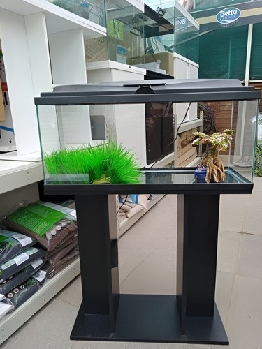 Aquarium stand black - aquarium, fish