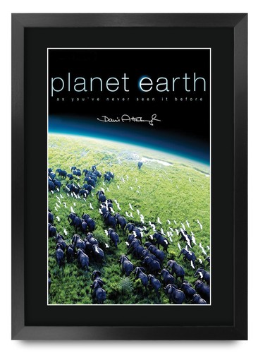 Planet earth david - planet,