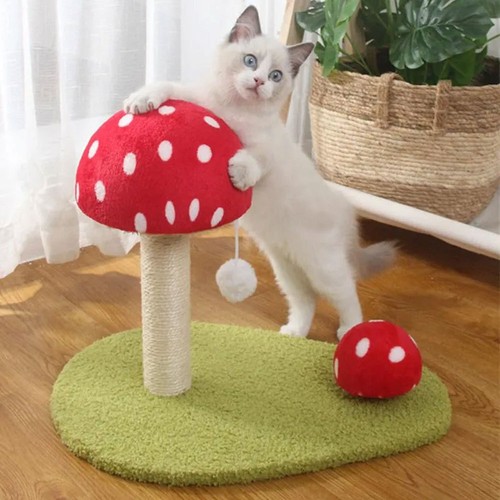 Cat scratcher kitty training - scratcher,