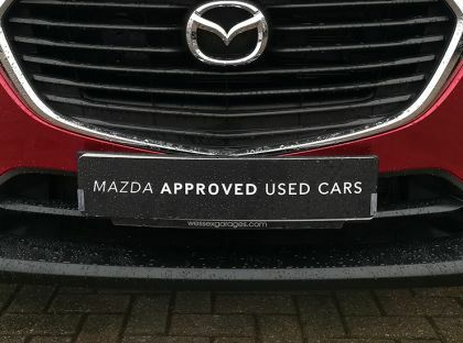 Show design number plate - number,