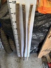 Hazel  Seasoned STICK WALKING STICK SHANK X 3