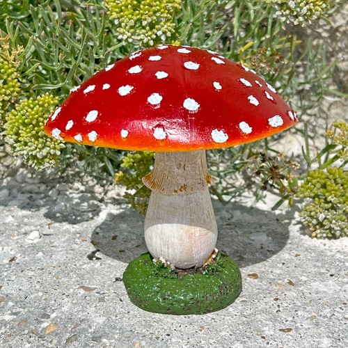 Large mushroom toadstool - large, /