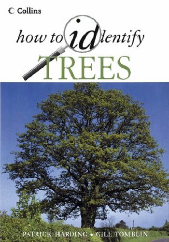 How identify trees - how,