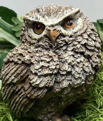 Echo owl cement concrete - “echo”,