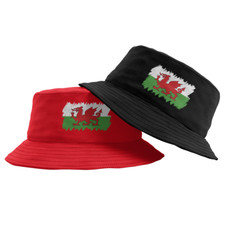 WALES WELSH RED DRAGON PRINT -