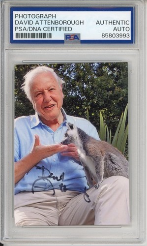 David attenborough signed - david,