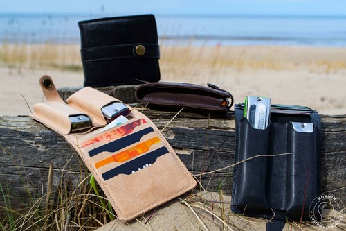 Harmonica case - harmonica,