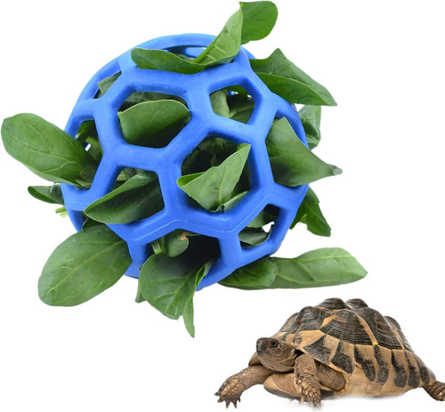 Tortoise treat ball fruit - tortoise,