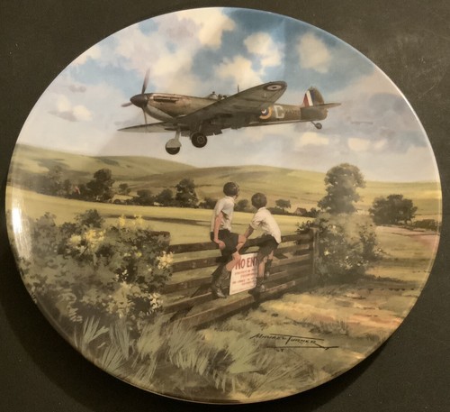 Royal doulton spitfire coming - royal,