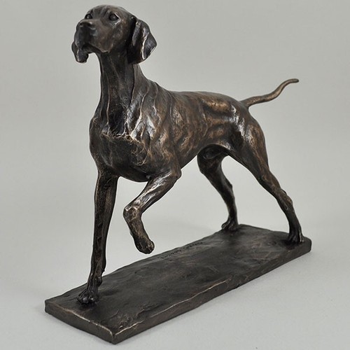 Pointer cold cast - cold, dog