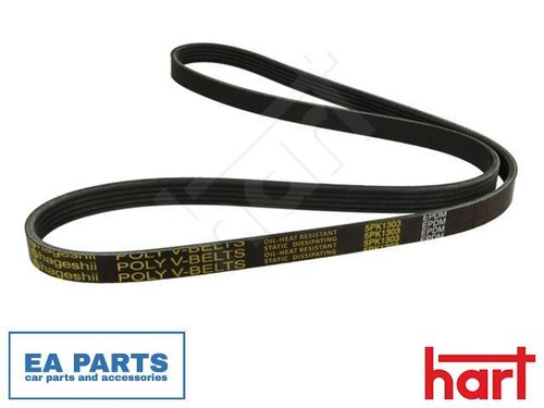 Ribbed belt for audi - audi, c4