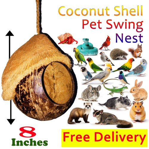 Large natural bird nest - bird,